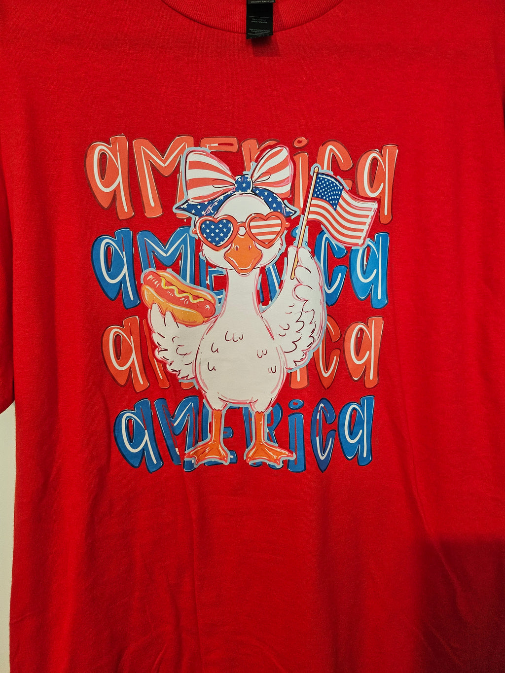 AMERICA DUCK